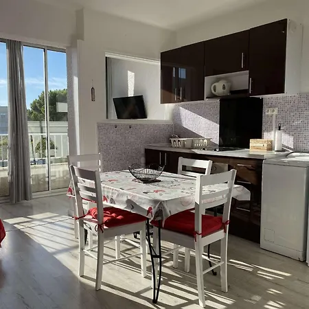 Apartment T1 Confortable Avec Wifi Inclus - Fr-1-553-309 *